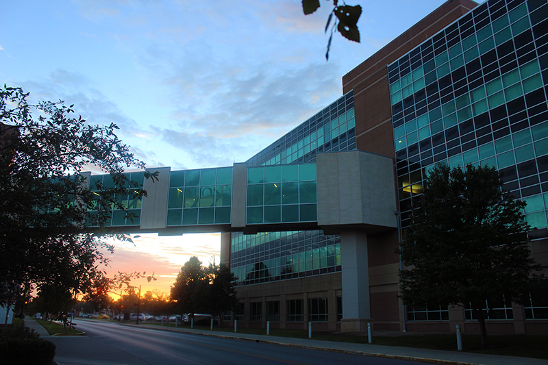 Sunrise Pedway 800